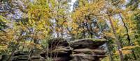 Rocks on the way to Mont ST. Odile | John Millen