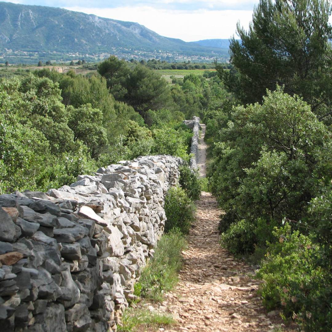 Plague Wall, built with dry stones during the 18th century