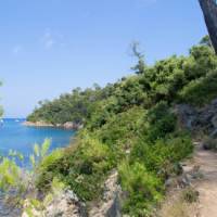 Follow coastal paths on Port Cros along the Cote d'Azur | VT98Fan