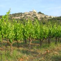 La Coste overlooking the vineyards below