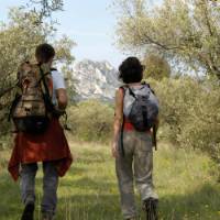 Walking out of a forest in the Alpilles