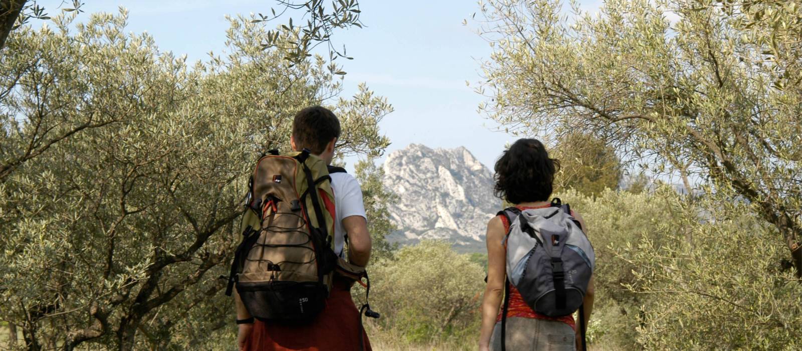 Walking out of a forest in the Alpilles