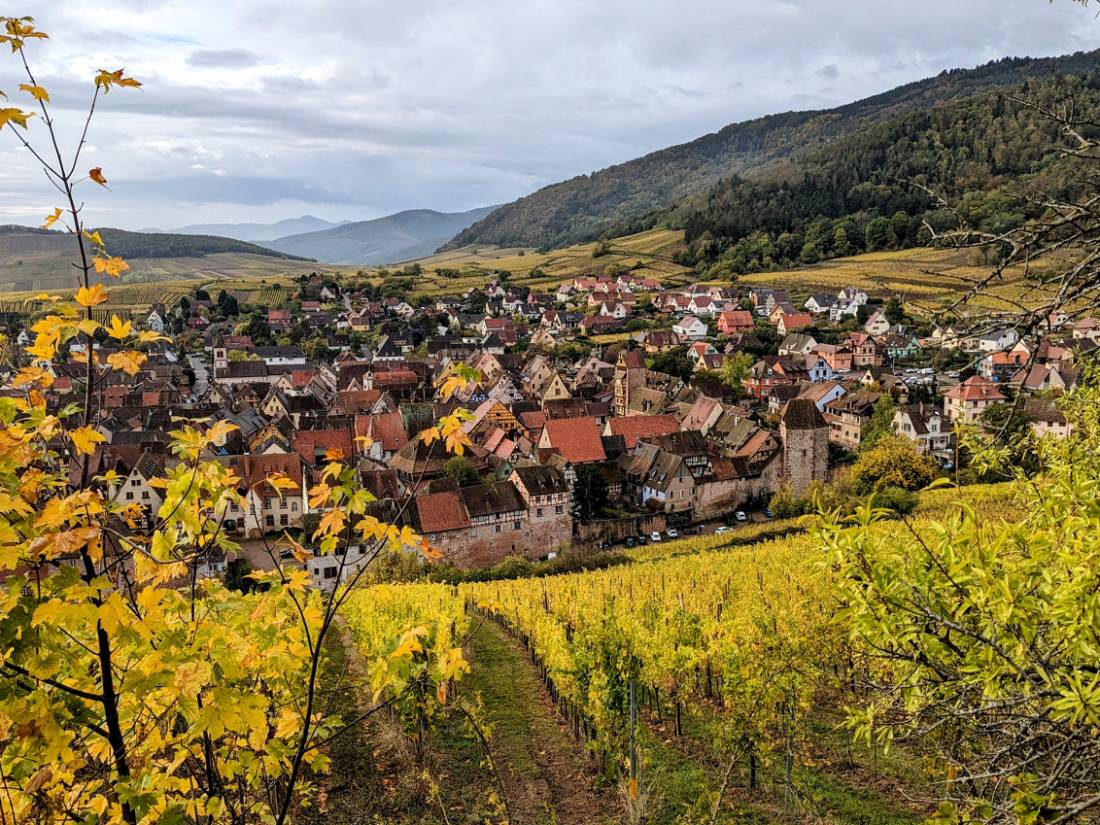 The 'Plus Belle' village of Riquewihr |  <i>Jon Millen</i>