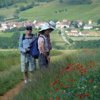 Walking near to Rully