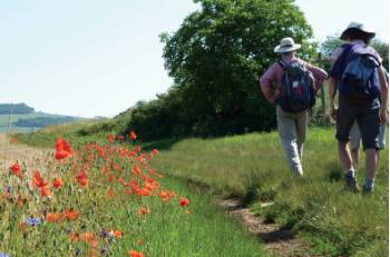 Walking near Rully