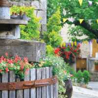 Old Wine Press, Desaignes