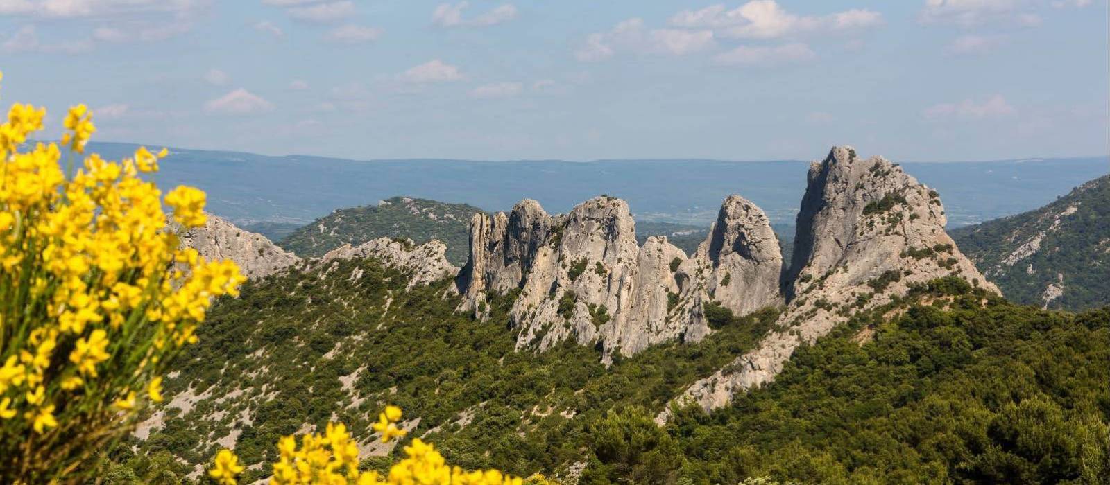 Dentelles de Mirail in Provence
