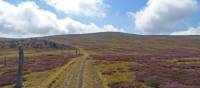 Towards the Mont Lozère, coming from Le Bleymard | Timothee Flutre