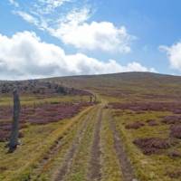 Towards the Mont Lozère, coming from Le Bleymard | Timothee Flutre