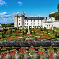 Explore the stunning gardens at Villandry castle | AXP Photography