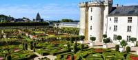 The famed gardens at Villandry | AXP Photography