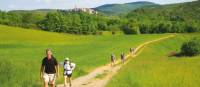 Walking Tarn France