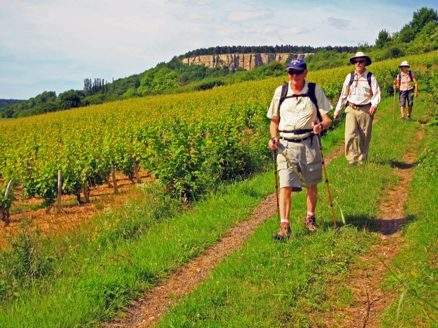 Walking by the vineyards near Nolay |  <i>John Millen</i>