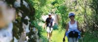 High drystone walls