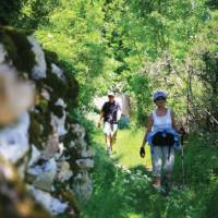 High drystone walls