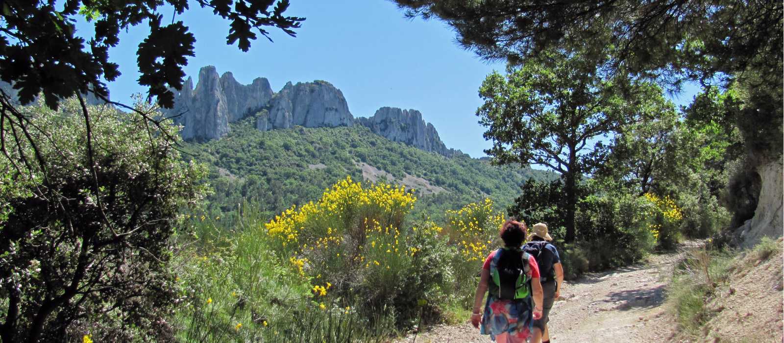Walking the Dentelles de Montmirail, Provence