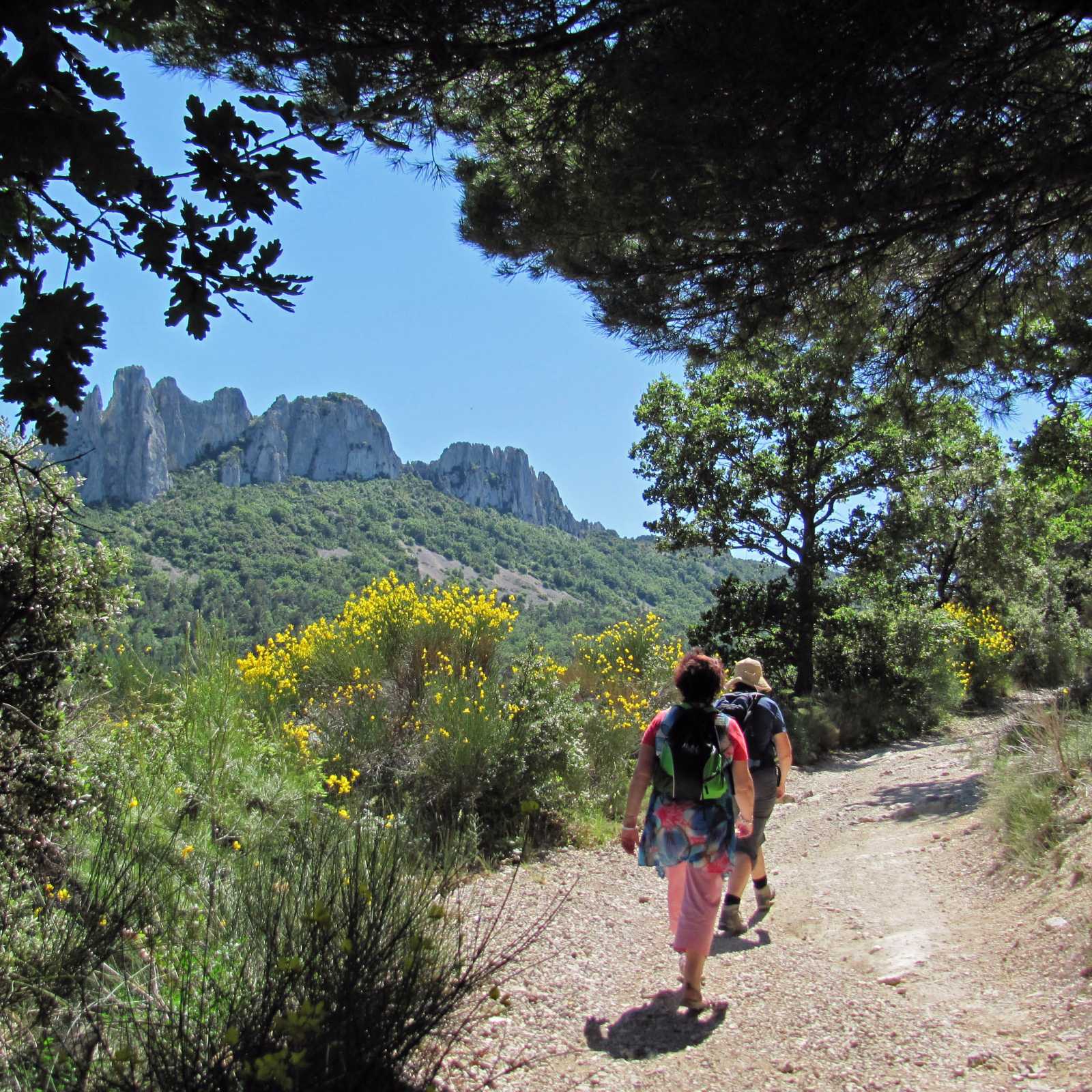 Walking the Dentelles de Montmirail, Provence