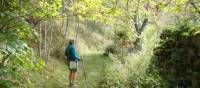Walking through forested valleys of the Ardeche region | Keith Starr