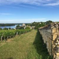 On the riverside path that takes us to the beautiful village of Montsoreau | John Millen