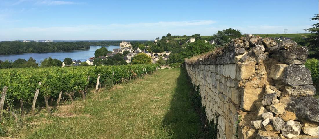 On the riverside path that takes us to the beautiful village of Montsoreau |  <i>John Millen</i>