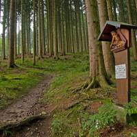 A shrine on the forest path | Will Copestake