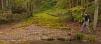 Limestone terrace covered in moss | Will Copestake