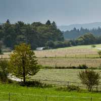 Walking through fields in Bavaria | Will Copestake