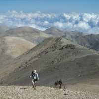 Walking in the rugged ‘White Mountains’