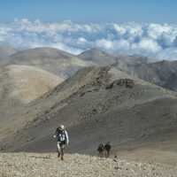 Walking in the rugged ‘White Mountains’