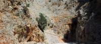There is an old mule path to follow at Aradena Gorge, Crete | WikimediaImages