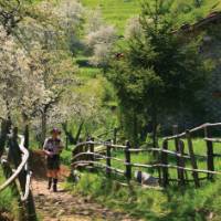 Approaching San Luigi, Italy's Apuane Alps