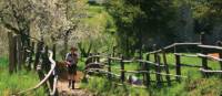 Approaching San Luigi, Italy's Apuane Alps