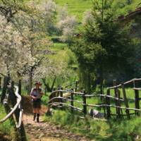 Approaching San Luigi, Italy's Apuane Alps