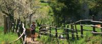 Approaching San Luigi, Italy's Apuane Alps