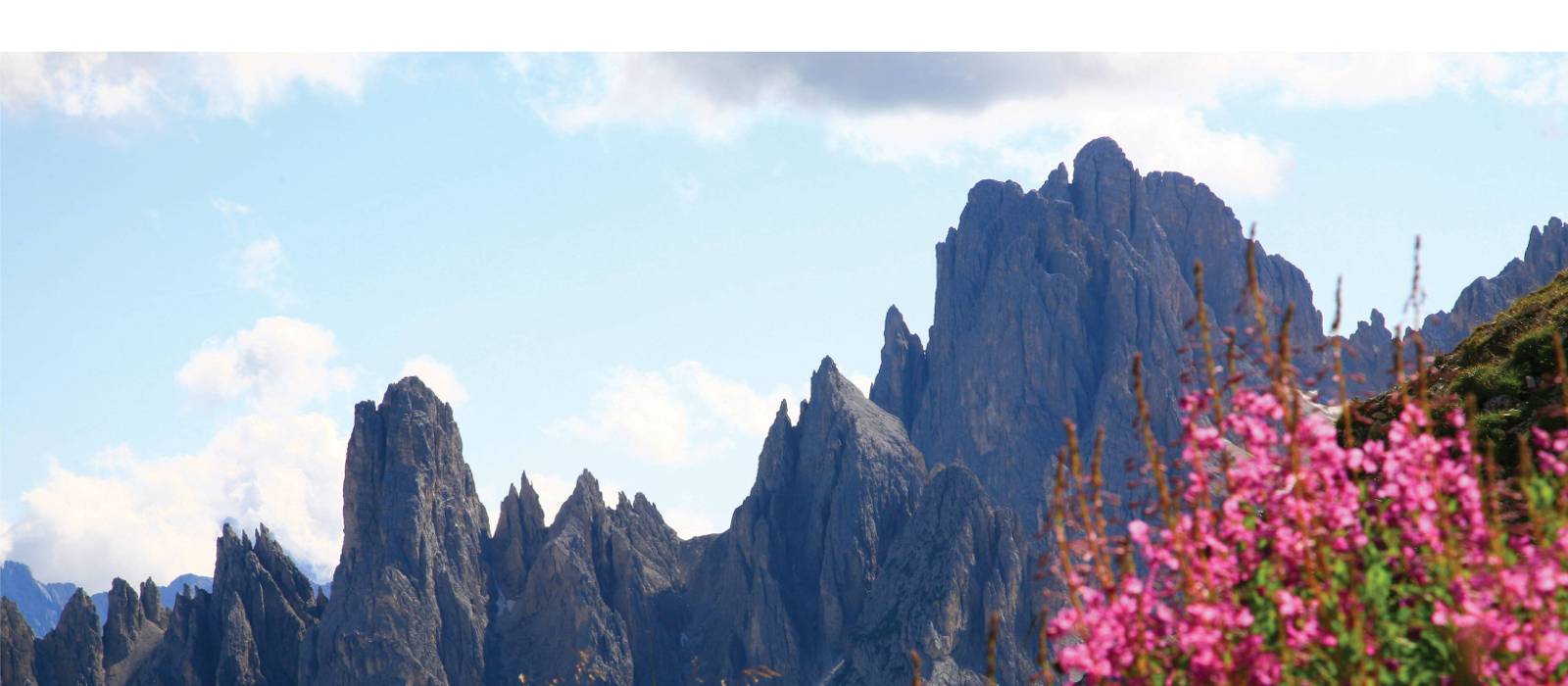 Dolomites in bloom