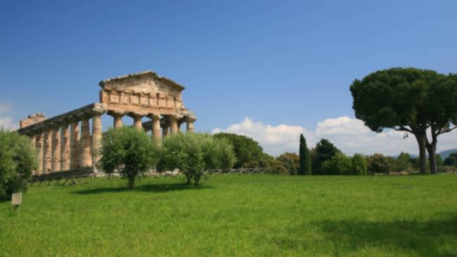 Paestum, temple (Cilento) | John Millen