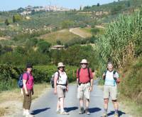 Group with San Gimignano behind