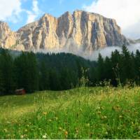 Sas Ciampac, The Dolomites, Italy