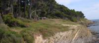 Punta Licosa coastal walk | Peter Hoogstaden