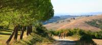 On the path to Pignano | John Millen