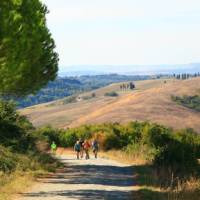 On the path to Pignano | John Millen