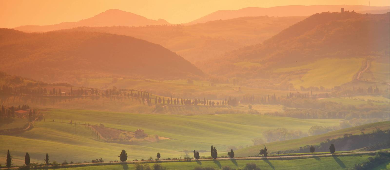 Landscape from Pienza | John Millen