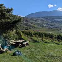 Rest after  the first steep climb of the walk | John Millen