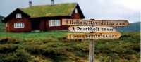 Traditional turf rooved house above Geilo