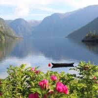 Aurlandsfjord | John Millen