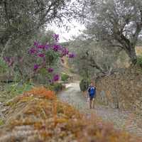 Rambling in the Douro Valley