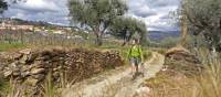 A hiker takes in the scenery of the Douro Valley