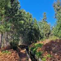 Levada Nova da Calheta | Peggy Dion