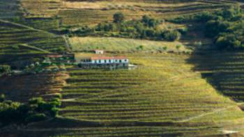 A quinta amidst the terraced Douro vineyards | Andre Carvalho