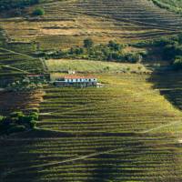 A quinta amidst the terraced Douro vineyards | Andre Carvalho